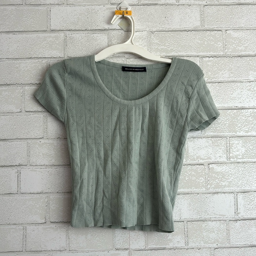 Brandy Melville Light Blue Floral Vintage Y2K Cropped Baby Tee